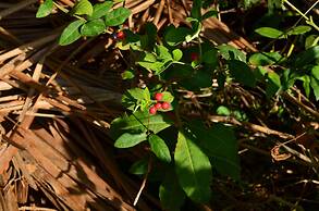 Vallee69 Eco Leisure-Yala