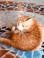 Fontaine Garden Village