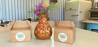 Fig Tree Retro Studio