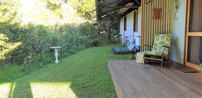 Fig Tree Retro Studio