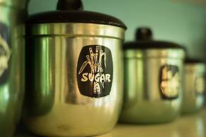 Fig Tree Retro Studio