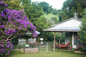 Fig Tree Retro Studio