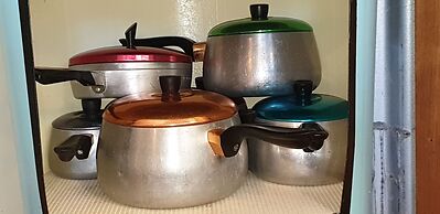 Fig Tree Retro Studio