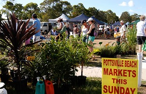 Fig Tree Retro Studio