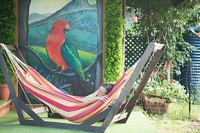 Fig Tree Retro Studio