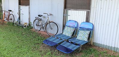 Fig Tree Retro Studio