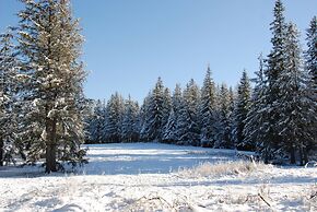 Willa Pan Tadeusz - POLSKIE TATRY S.A.