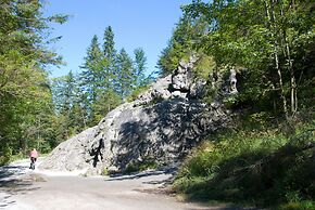 Pensjonat Biały Potok - POLSKIE TATRY S.A.