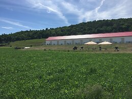 Apple Inn and Suites Cooperstown Area