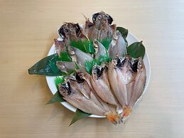 Green Rich Hotel Hamada Ekimae