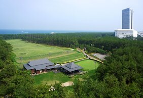 Seagaia Forest Cottages