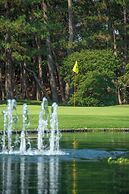 Seagaia Forest Cottages