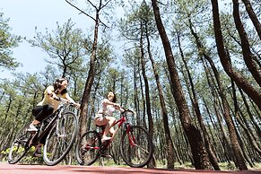 Seagaia Forest Cottages