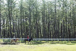 Seagaia Forest Cottages