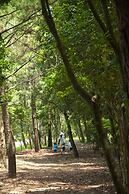 Seagaia Forest Cottages