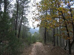 La Vereda de Puebla
