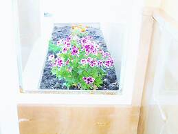 Martin House & Baño Privado