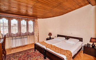 Hotel VIP