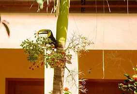 Tropical Sands Dominical Eco Inn