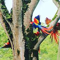 Tropical Sands Dominical Eco Inn