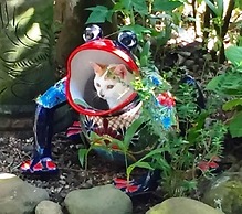 Tropical Sands Dominical Eco Inn