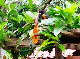 Tropical Sands Dominical Eco Inn