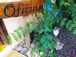 Tropical Sands Dominical Eco Inn