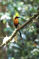 Chachagua Rainforest Hotel & Hot Springs