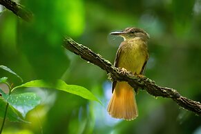 Chachagua Rainforest Hotel & Hot Springs