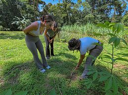 Chachagua Rainforest Hotel & Hot Springs