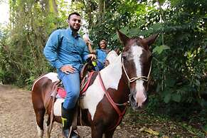 Chachagua Rainforest Hotel & Hot Springs