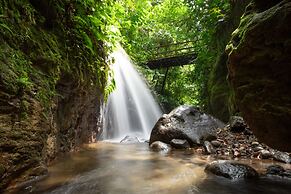 Chachagua Rainforest Hotel & Hot Springs