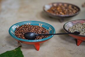 Chachagua Rainforest Hotel & Hot Springs