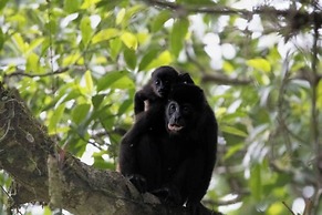 Chachagua Rainforest Hotel & Hot Springs