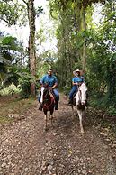 Chachagua Rainforest Hotel & Hot Springs