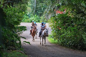 Chachagua Rainforest Hotel & Hot Springs