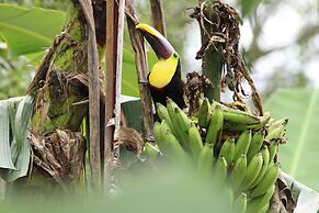 Chachagua Rainforest Hotel & Hot Springs