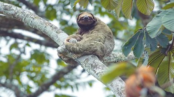 Chachagua Rainforest Hotel & Hot Springs