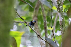 Chachagua Rainforest Hotel & Hot Springs