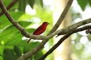 Chachagua Rainforest Hotel & Hot Springs