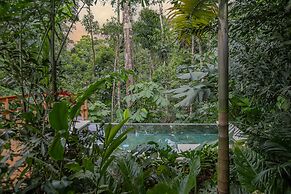 Chachagua Rainforest Hotel & Hot Springs