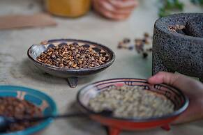 Chachagua Rainforest Hotel & Hot Springs