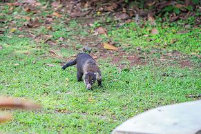 Chachagua Rainforest Hotel & Hot Springs