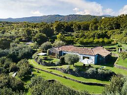Monaci delle Terre Nere