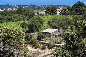 Monaci delle Terre Nere