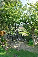 Monaci delle Terre Nere