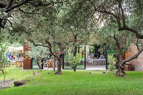 Monaci delle Terre Nere