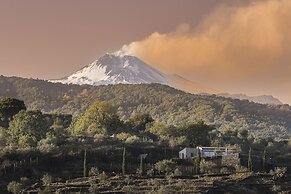 Monaci delle Terre Nere
