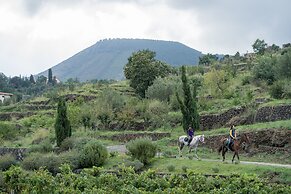 Monaci delle Terre Nere
