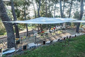 Monaci delle Terre Nere